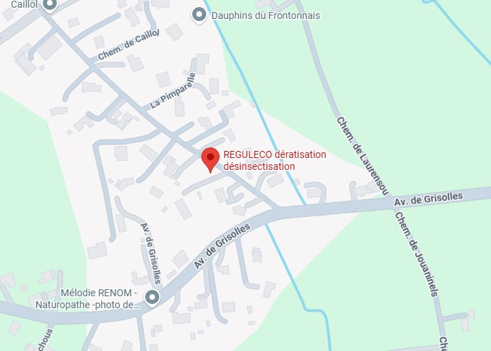 REGULECO Dératisation : carte et localisation précise. Carte géographique montrant REGULECO dératisation désinsectisation, situé près de l'Av. de Grisolles et du Chem. de Laurensou.