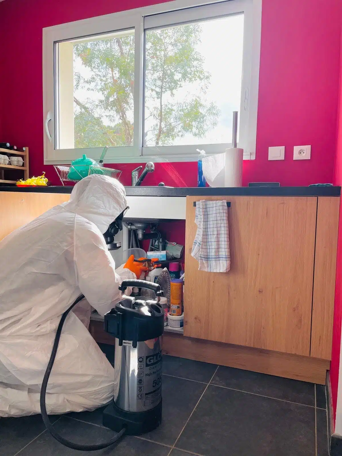 Professionnel en combinaison de protection et masque traitant l'espace sous l'évier de cuisine rose. Un pulvérisateur GLORIA 505 est au sol.
